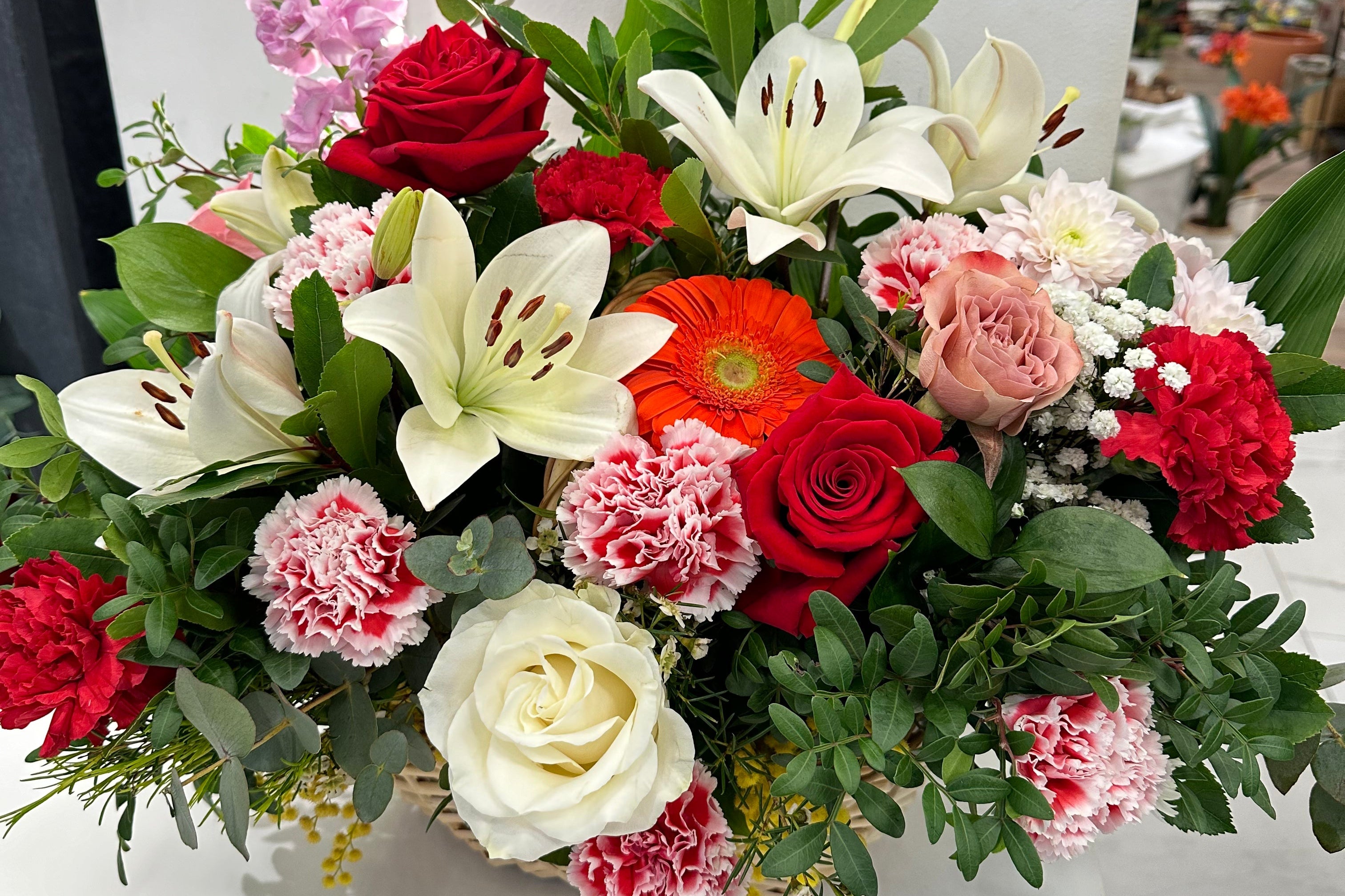 CENTRE RODÓ BLANC I VERMELL