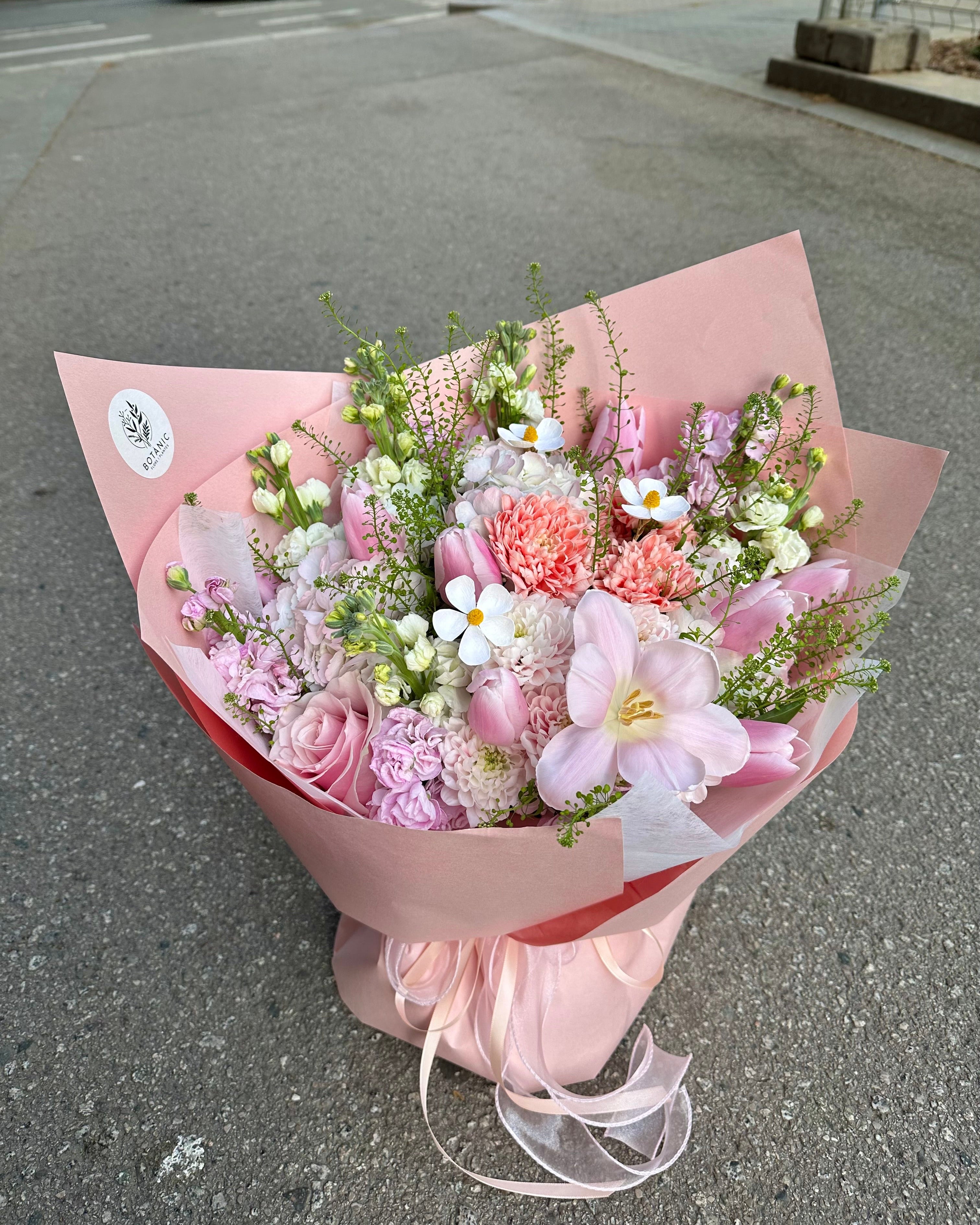 PINK HARMONY